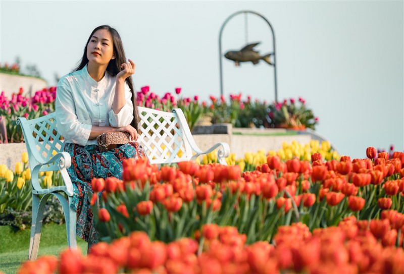Thanh xuân có hạn, chờ chi mà không đến cánh đồng hoa tulip lớn nhất Việt Nam - Ảnh 5.