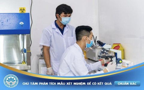 Tìm hiểu quy trình thăm khám bệnh tại Đa khoa Nam Việt
