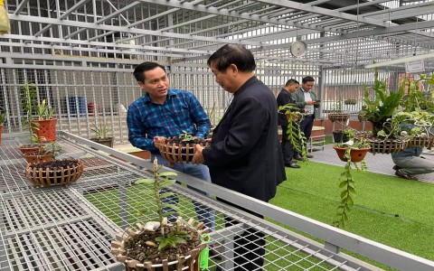 Ông Dương Văn Lập: Liên kết góp phần thúc đẩy ngành lan VAR phát triển bền vững