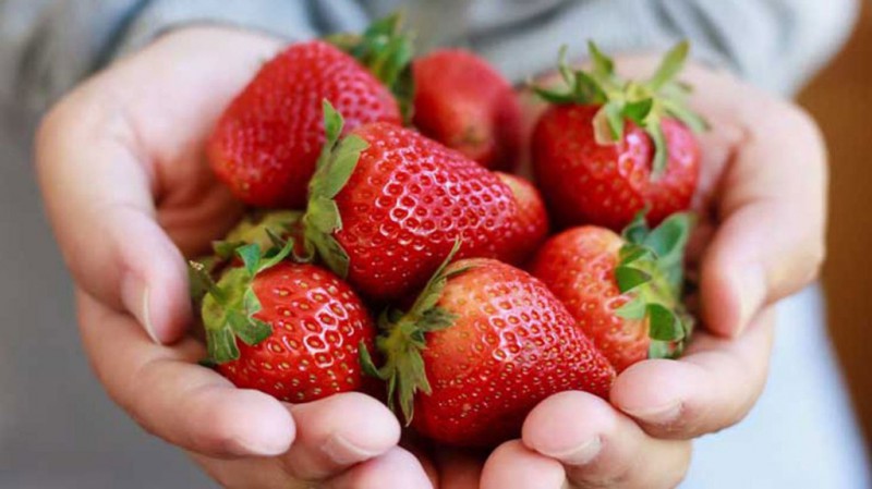 8 loai rau cu giau vitamin C nen tang cuong trong mua dich hinh anh 8 strawberries_1296x728_feature.jpg