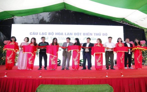 Ra mắt CLB Lan Var Thủ đô