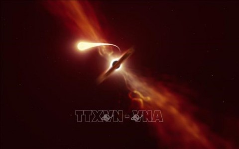 Những hình ảnh chi tiết đầu tiên về hiện tượng hố đen "nuốt chửng" một ngôi sao