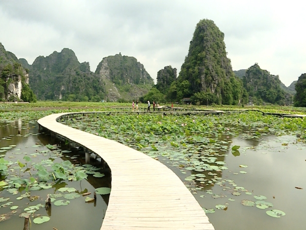 Phát triển nông sản địa phương: Động lực mới cho kinh tế Ninh Bình