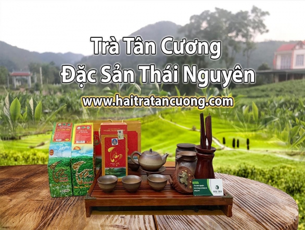 ​​​​​​​Tận Mắt Từng Khâu Sản Xuất Trà Thái Nguyên - Hải Trà Tân Cương